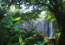 Sustainability vs. Ecotourism